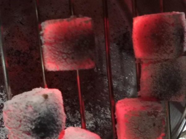 galeri (2) galeri (2)